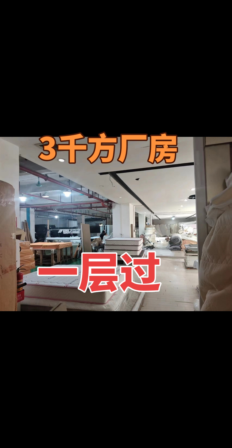 廠房倉(cāng)庫(kù)招租信息咨詢免費(fèi)的抖音